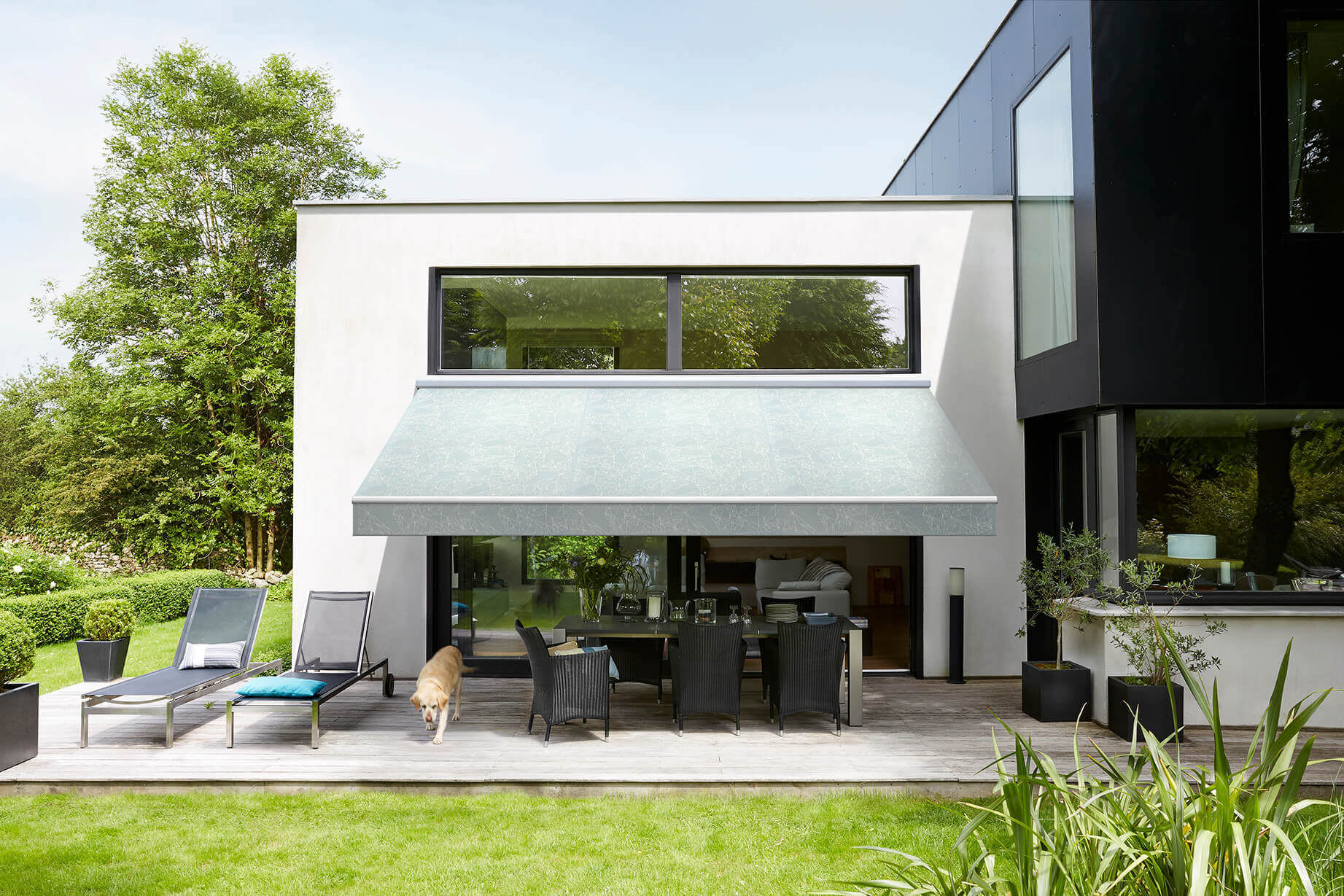 Minimalist architecture with a light grey canopy awning providing shade for people and pets