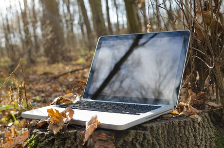 A laptop outside on a tree stump